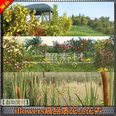 iflowers高品质花丛花卉植物3D模型合集 三维花草花坛 3dsmax