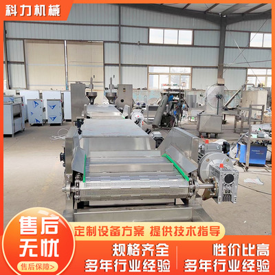 素丸子自动成型机 油炸丸子全套设备厂家直供 鱼丸加工设备