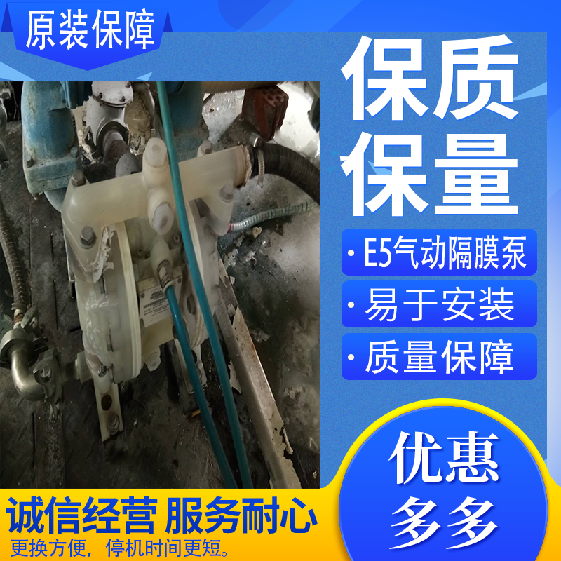 美国Versa-Matic威马气动隔膜泵E5PP6X669C 气动隔膜泵