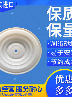 原装进口Verder弗尔德气动隔膜泵VA15 PP PP TF TF 特氟龙膜片