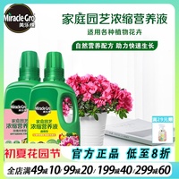 美乐棵绿萝月季兰花发财树水培专用肥料家用花肥植物通用型营养液