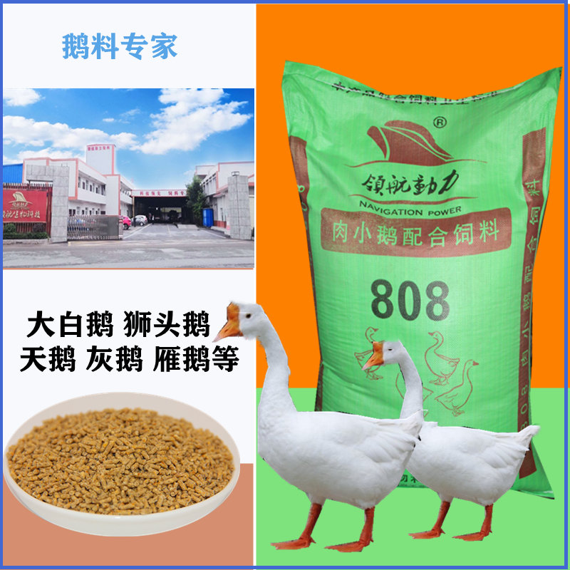 小鹅雏鹅天鹅中大专用吃的鹅饲料