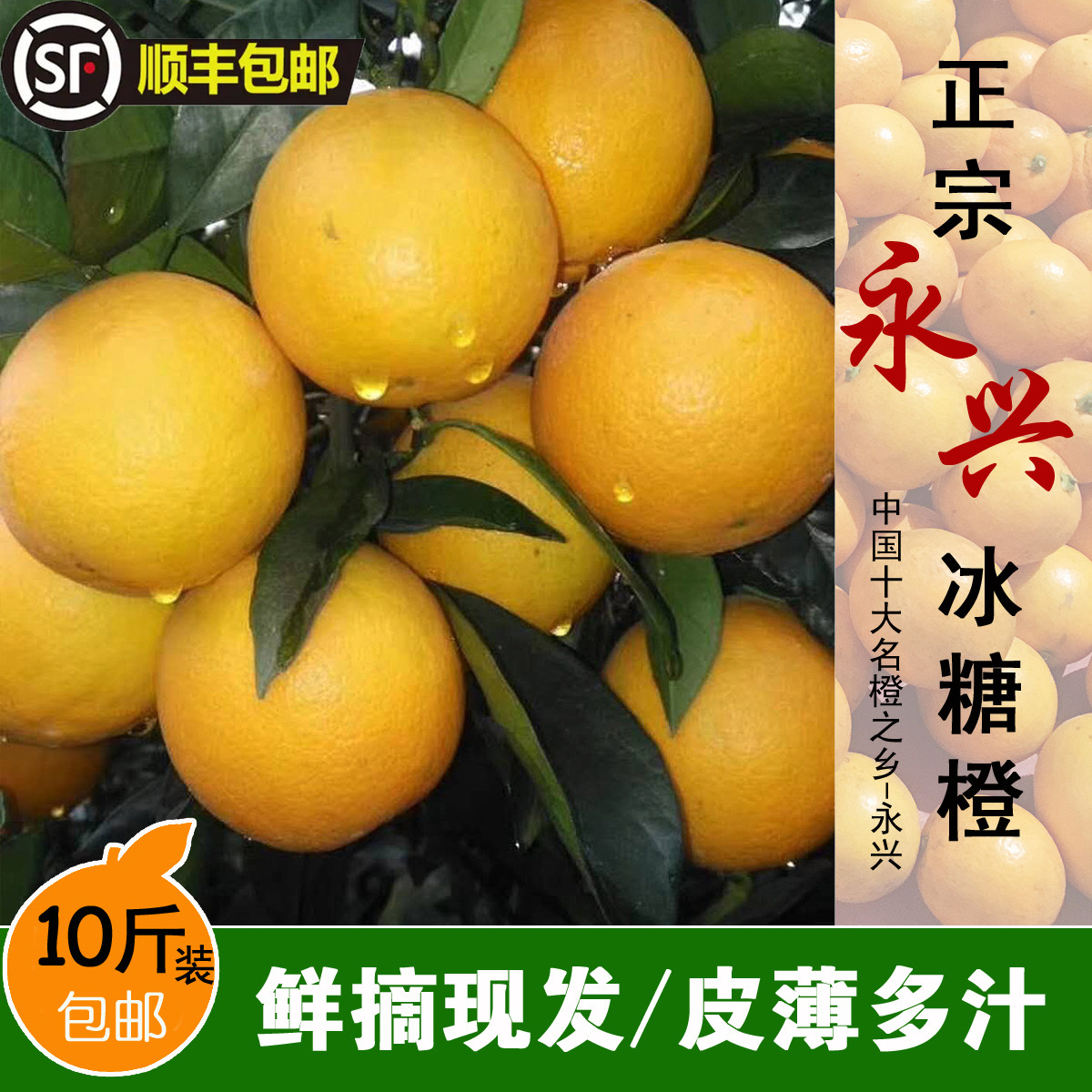 永兴冰糖橙子果园直供湖南郴州特橙