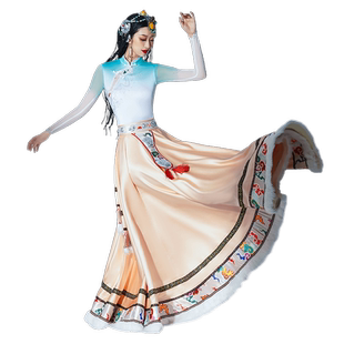 藏族舞蹈演出服装女蒙古服族异域风情服装异域舞姬服装民族舞服装