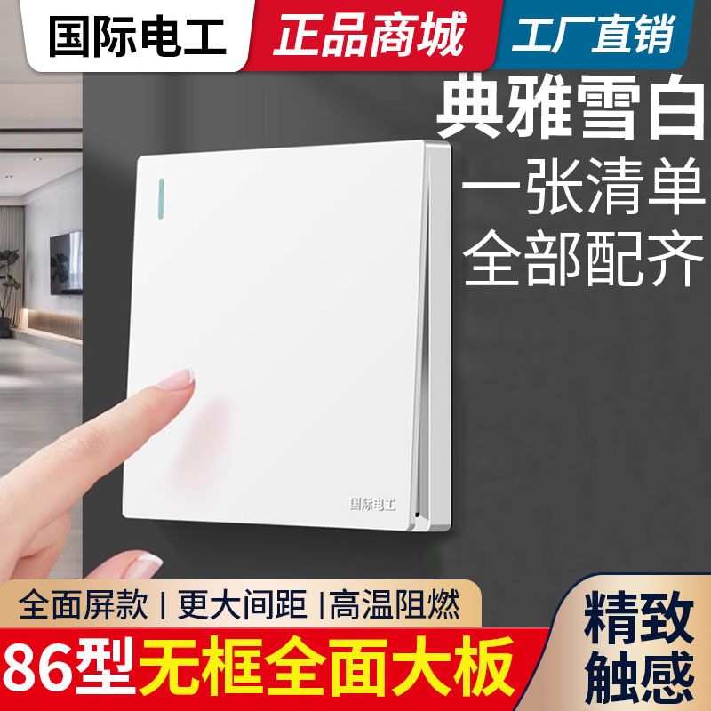 家装用二开双开双控开关国际电工