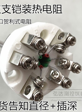 WZPK2-010 双支铠装热电阻芯 pt100铂电阻传感器 装配式热电阻芯