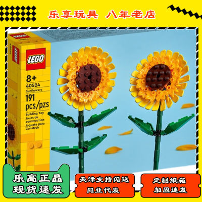 乐高40524正品玩具礼物