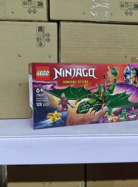 LEGO/乐高拼插积木6岁以上