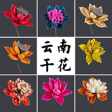 荷花干花束莲花家居摆设真花禅意装饰品客厅摆件风干梧桐花促销