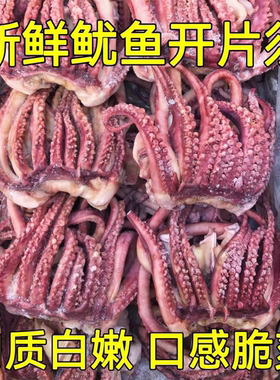 鱿鱼开片头小鱿鱼须八爪须免清理