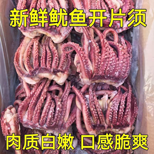 鱿鱼开片头小鱿鱼须八爪须免清理