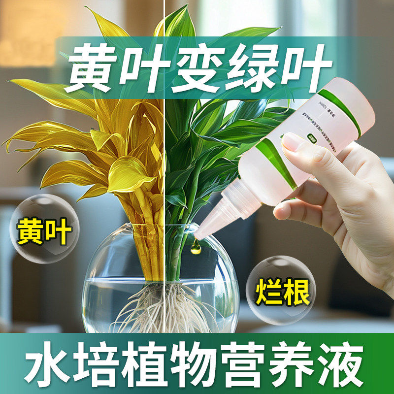 水培植物营养液通用型黄金葛富贵竹转运竹碗莲铜钱草发财树专用肥,鲜花速递/花卉仿真/绿植园艺,家庭园艺肥料,淘宝优惠券,粉丝福利购,淘宝优惠卷