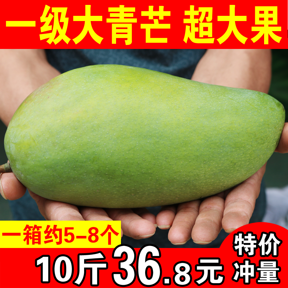 特大金煌芒果广西百色大青芒水果青皮芒新鲜包邮带箱10斤非桂七芒