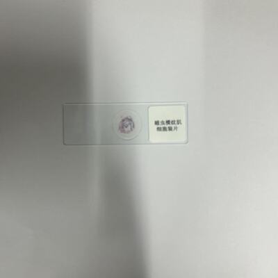 蝗虫横纹肌细胞装片中小学普教切片标本生物切片光学显微镜玻片