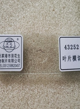 中小学科学生物实验课用43252叶片横切永久装片浪花牌涂片玻片