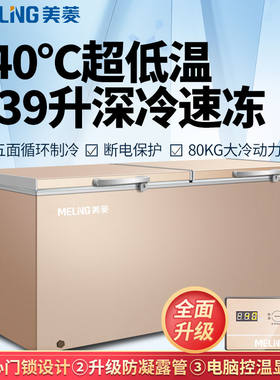 美菱冷冻柜电脑控温钢板内胆冷柜