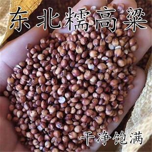 1吨东北糯高粱酿酒专用粘红高粱酿酒自产去壳带皮黏高粱县城自提