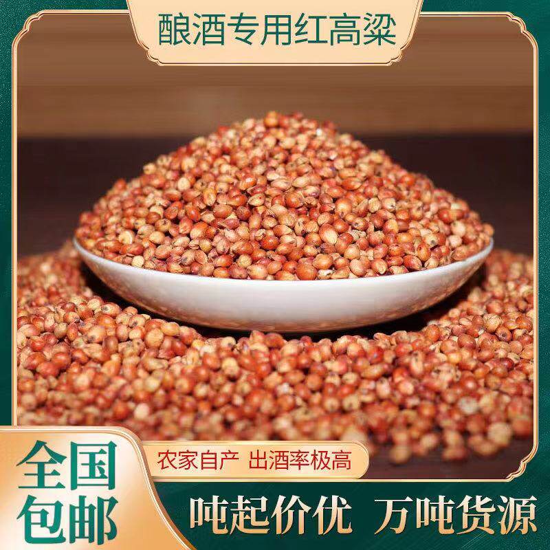 红高粱酿醋食用杂粮饲料带皮