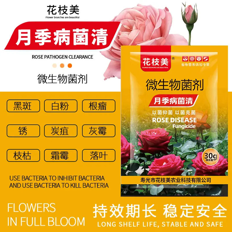 月季病菌清月季花专用药黑斑白粉黄叶家庭园艺正品玫瑰蔷薇通肥