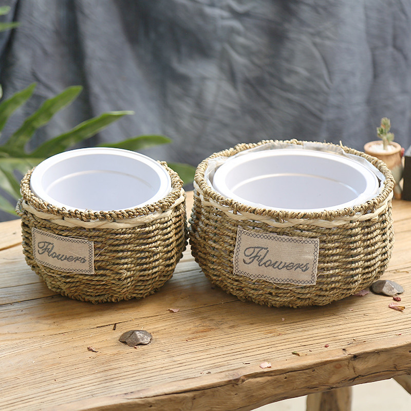 买一送一多肉绿萝蝴蝶兰编织花盆