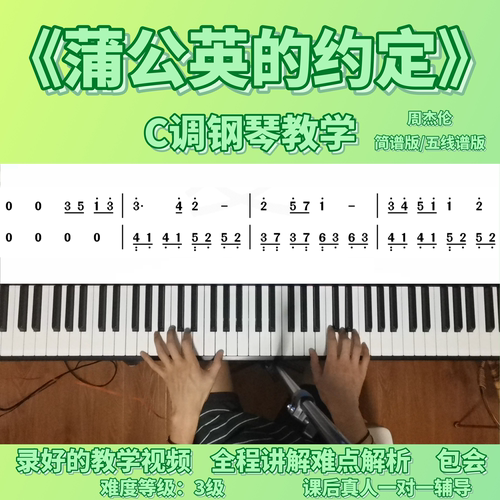 《蒲公英的约定》周杰伦 零基础钢琴教学 全程讲解 包会