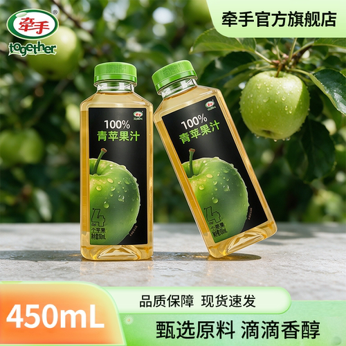 牵手果汁饮料青苹果100%果汁450ml*15瓶果汁整箱