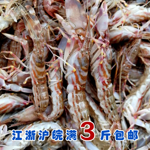 石浦海鲜小船货新鲜虾花虾鲜嫩