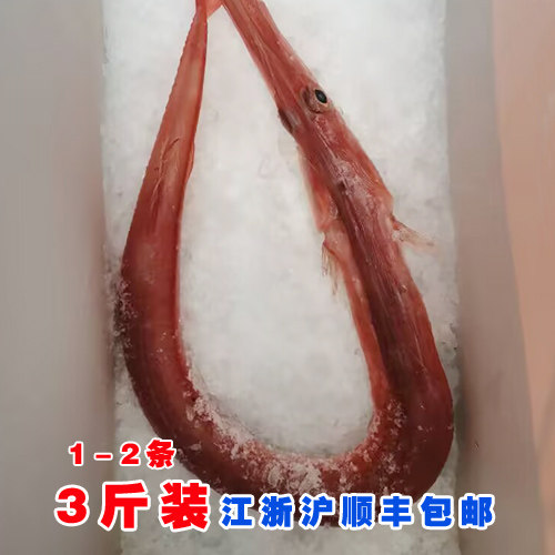 高新鲜度可刺身 东海红烟管鱼/马鞭鱼/长鸭嘴鱼  3斤装发1-2条