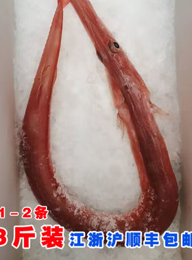 高新鲜度可刺身 东海红烟管鱼/马鞭鱼/长鸭嘴鱼  3斤装发1-2条
