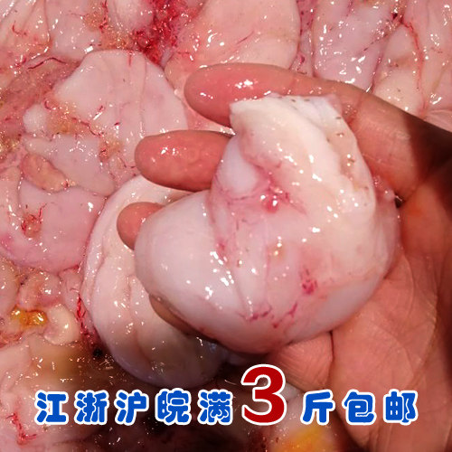 石浦海鲜 新鲜安康鱼肚蛤蟆鱼肚  超q弹糯糯口感 好吃  三四月份