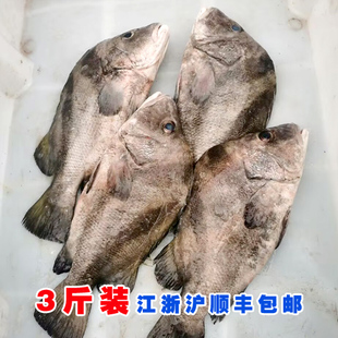 3斤装 石浦小船货野生包公鱼十八枚18枚鱼 肉嫩鲜美 新鲜冻发