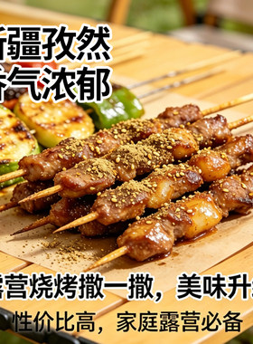 露营烤串必备/夜市烧烤同款