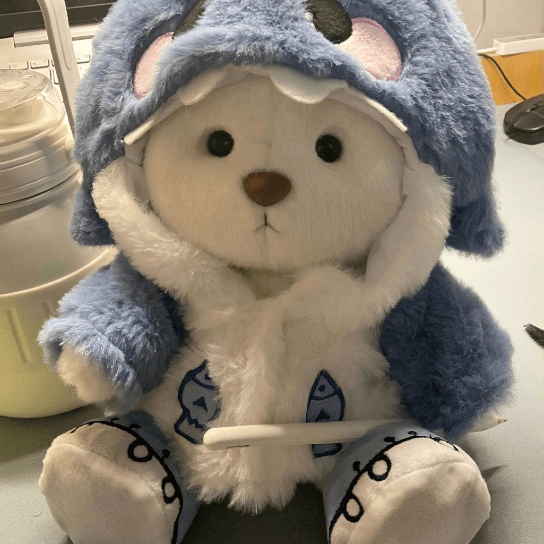 送女友超用心生日礼物网红小熊套装关节小熊公仔四肢可动毛绒玩具