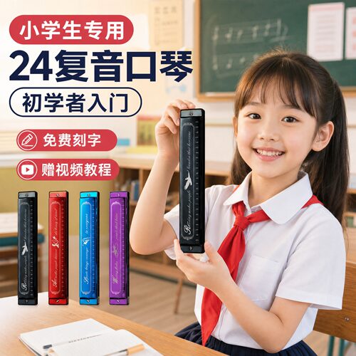 romusic24孔复音C调初学者口琴