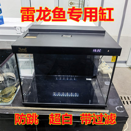 雷龙鱼专用超白玻璃鱼缸客厅小型家用水族箱生态玻璃金鱼缸水草缸