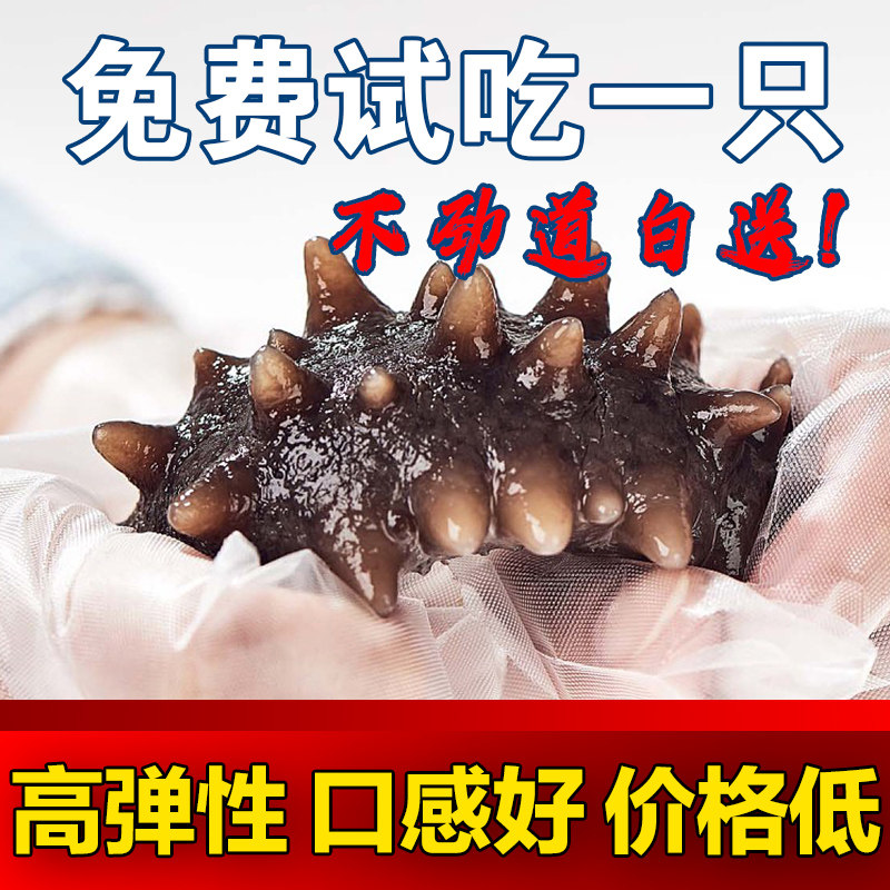大连野生即食海参辽参刺参海参鲜活非干货即食冷冻海生特价