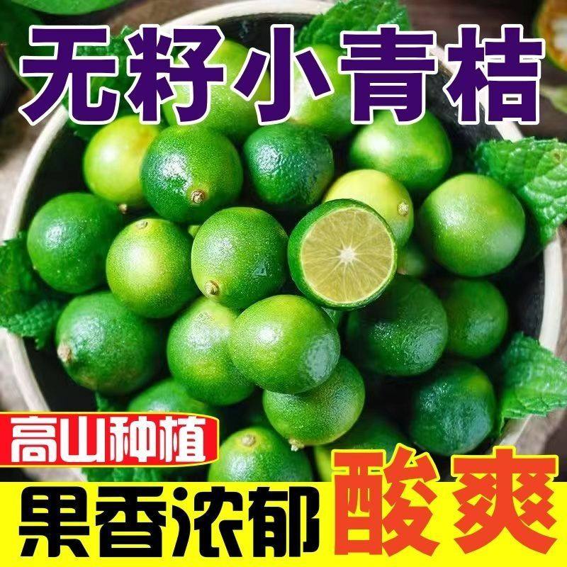 正宗无籽小金桔新鲜青皮青金桔当季水果小青桔清香柠檬奶茶店专用