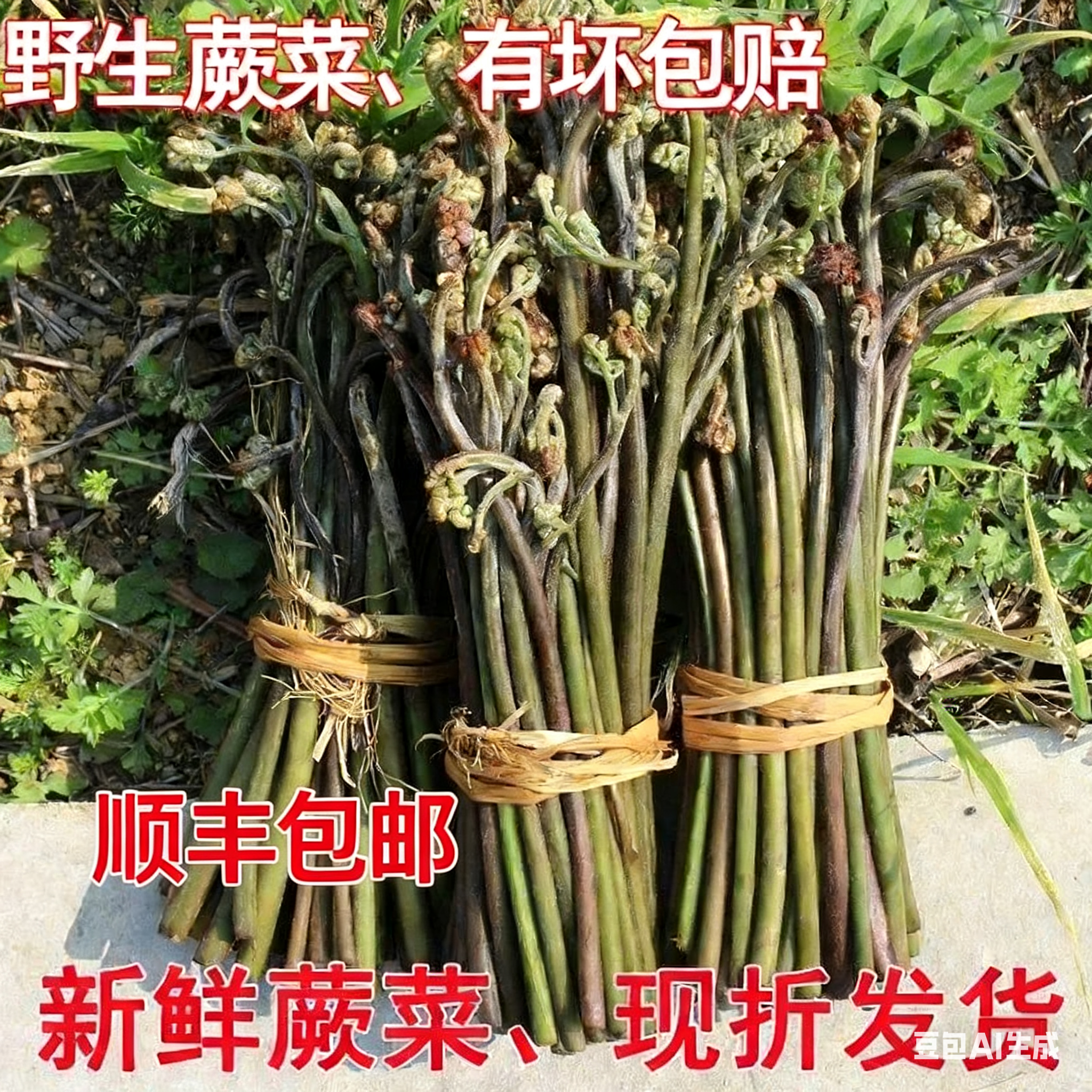 顺丰包邮蕨菜野生贵州湖南株洲野生新鲜蔬菜山野菜厥菜阙菜现摘现
