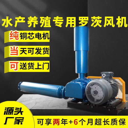 三叶罗茨鼓风机一机多用水产养殖专用125型380V罗茨风机