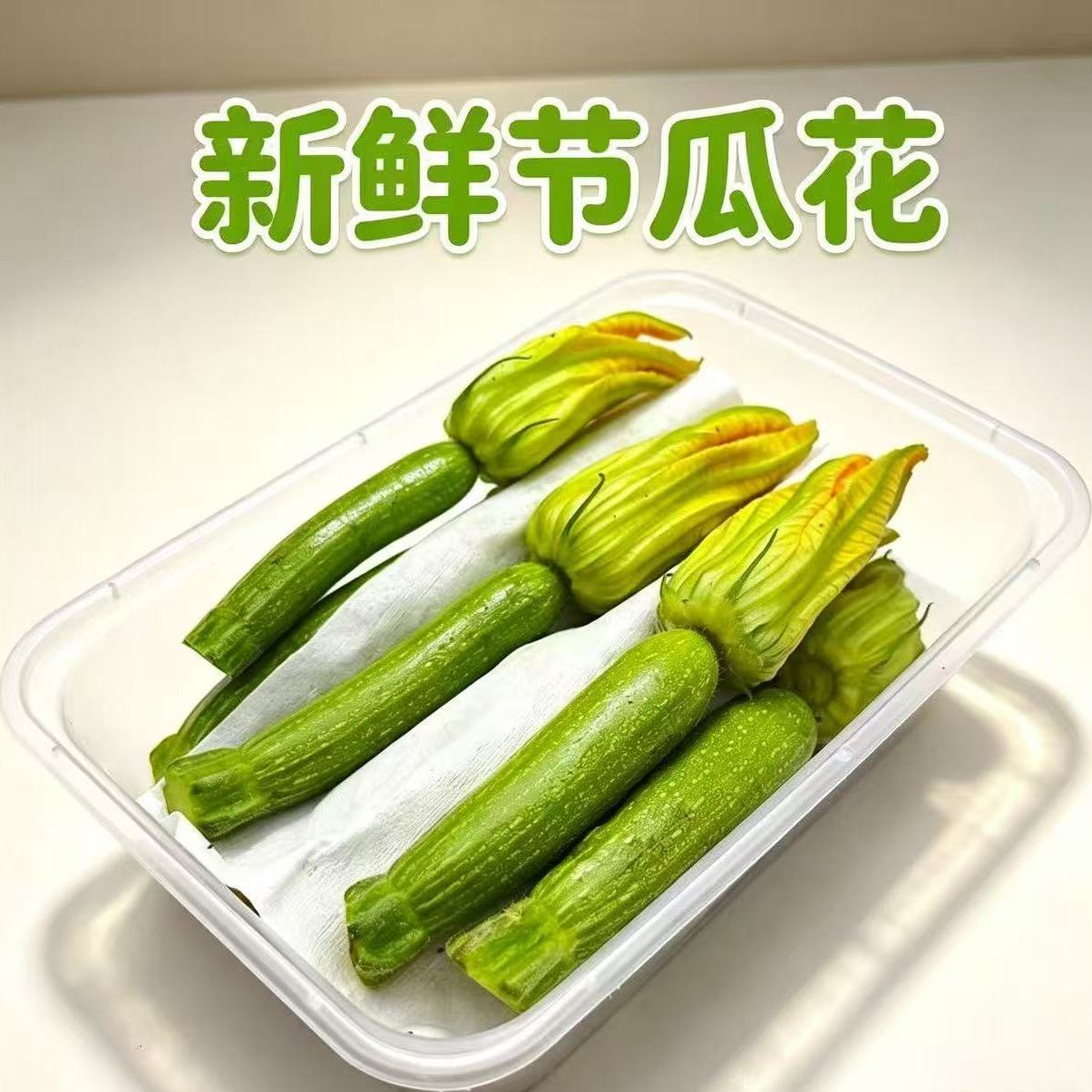 意大利节瓜花食用香料西餐日料酒其它