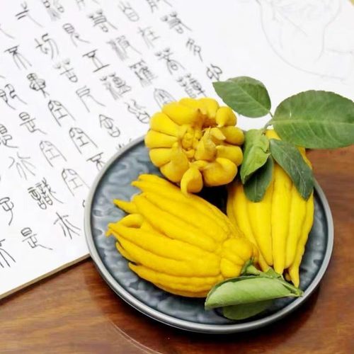 金华佛手现摘现发观赏带枝水养佛手瓜小佛手果香橼新鲜青果佛手柑