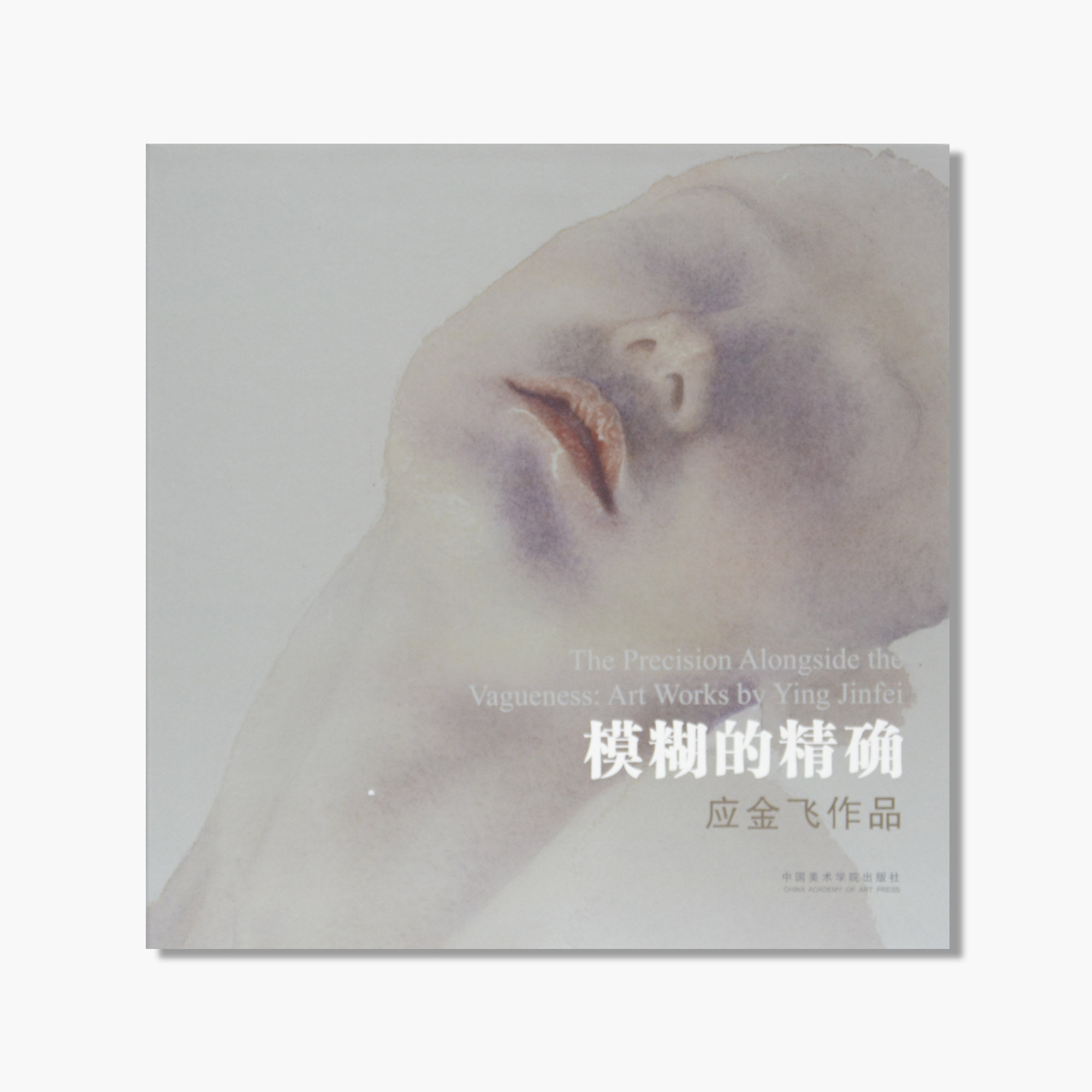 《模糊的精确:应金飞作品》定价:280 应金飞 著 中国美术学院 正版