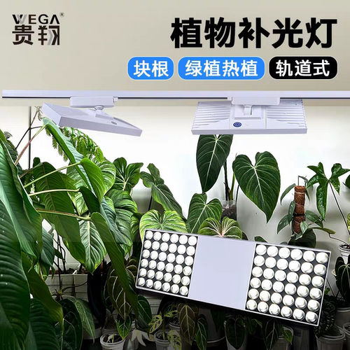 贵翔40W植物生长灯LED轨道射灯全光谱热植龙舌兰绿植景观墙补光灯