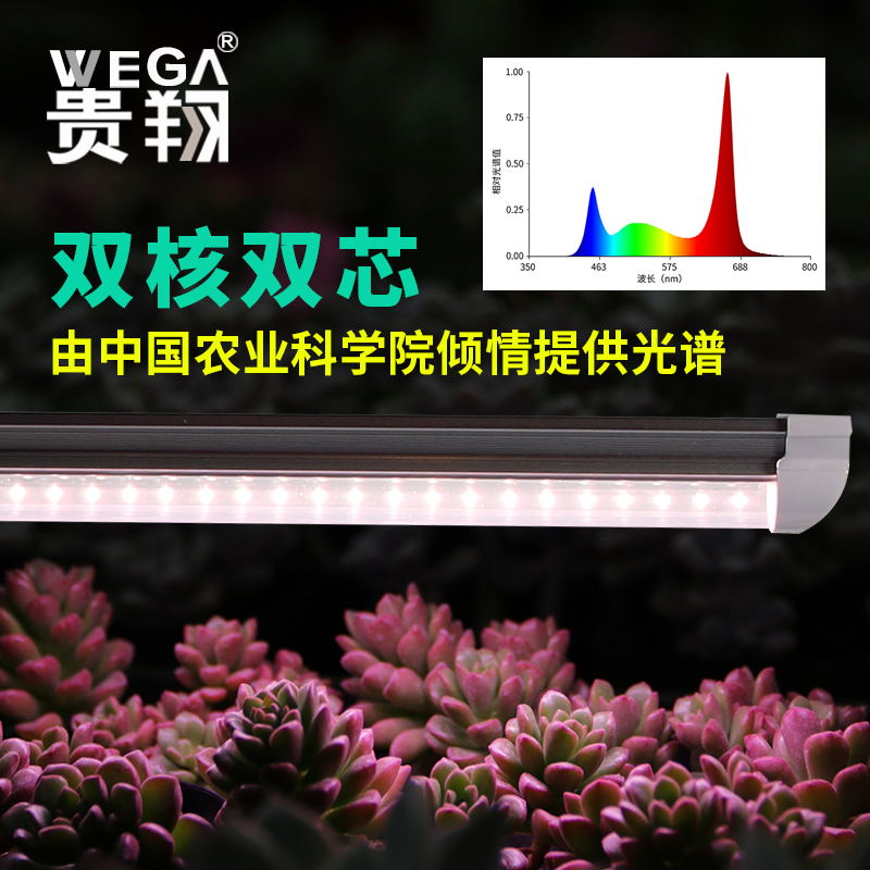 全光谱led植物生长灯 贵翔双核食虫草花卉蔬菜育苗组培多肉补光灯