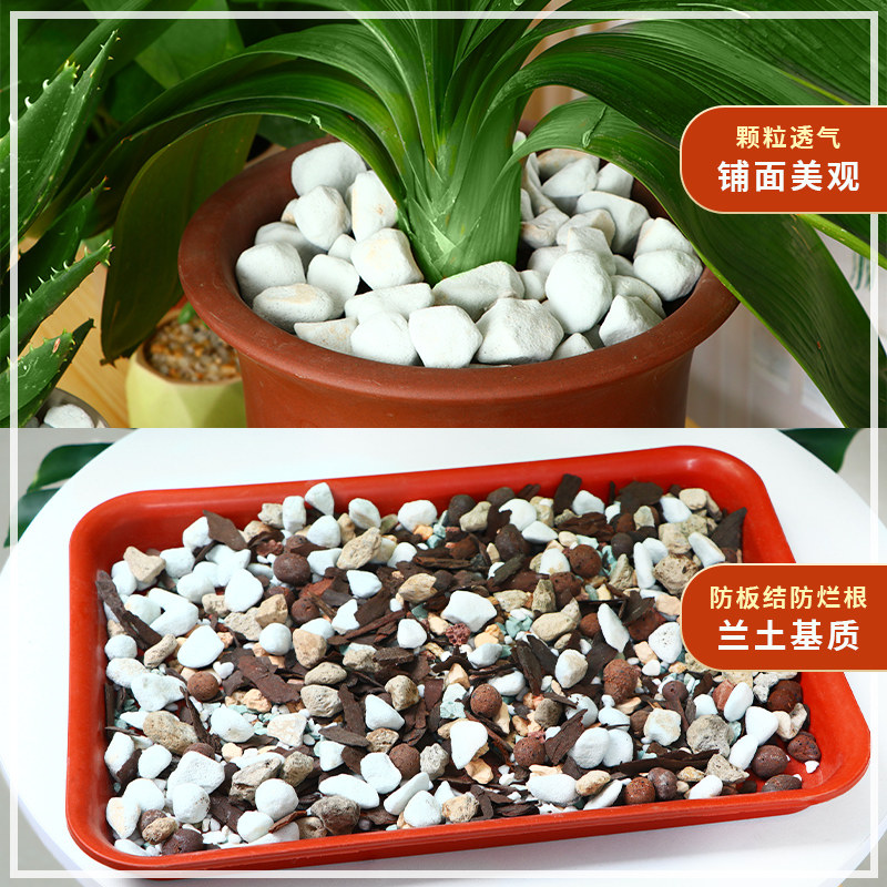 珍珠岩养花用大颗粒通用型蛭石扦插颗粒育苗多肉基质养花用包邮
