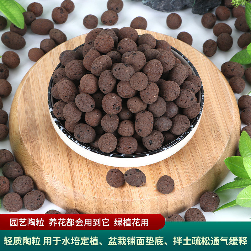 陶粒多肉营养土水培铺面