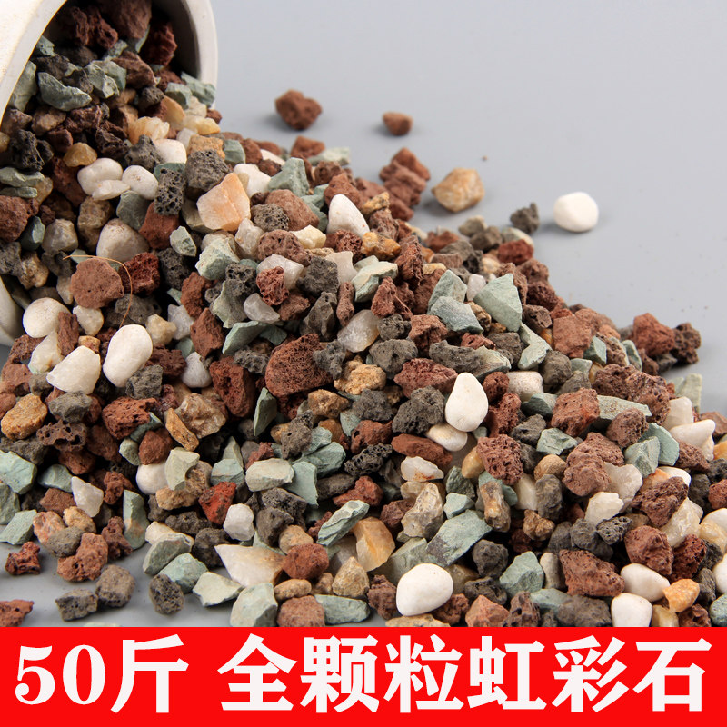 多肉专用全颗粒土植物铺面石营养土火山岩麦饭石多肉铺面石颗粒土