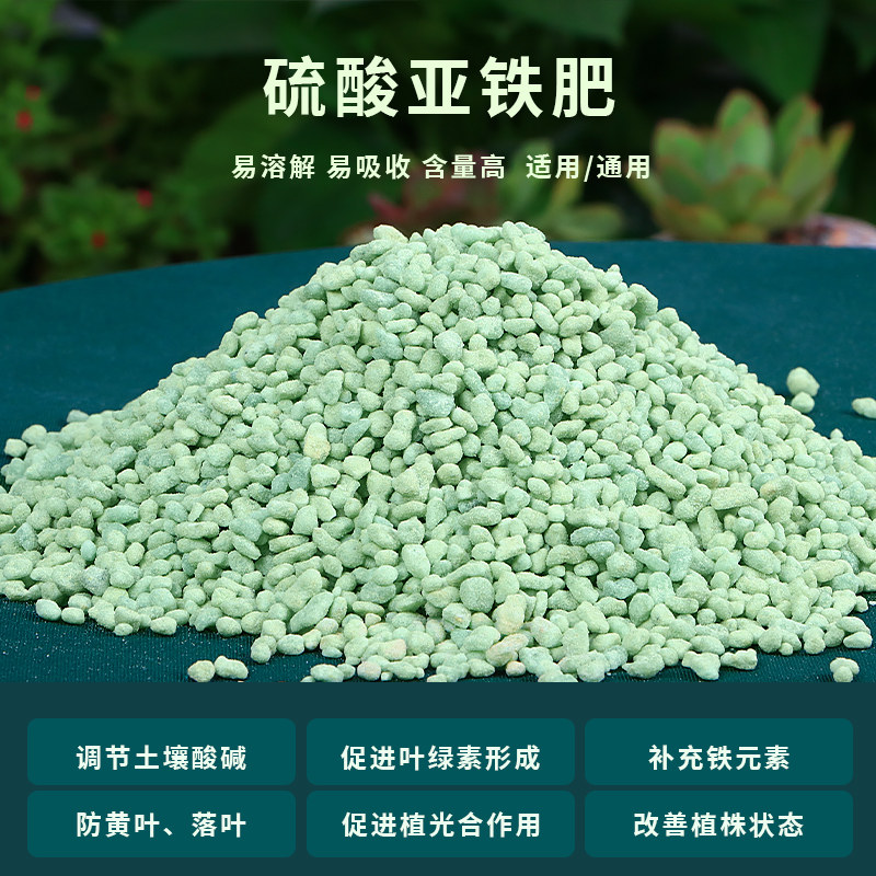 硫酸亚铁花肥料土壤改良酸性茉莉杜鹃花茶花绿萝发财树黄叶专用肥