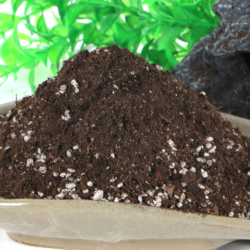 多肉专用养花土通用型营养土种花种菜家用种植泥炭土盆栽有机土壤