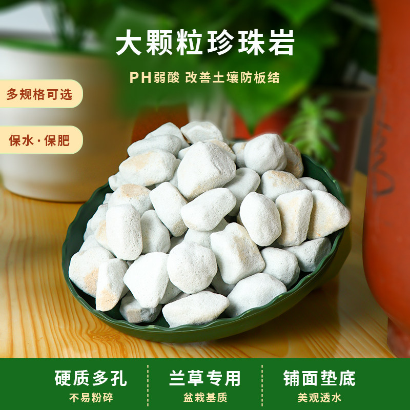 大颗粒珍珠岩多肉兰花专用